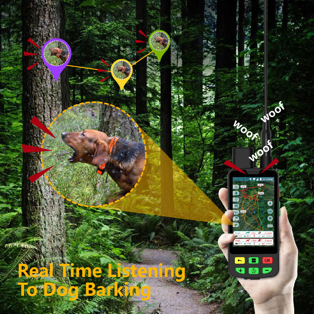 Bark detection