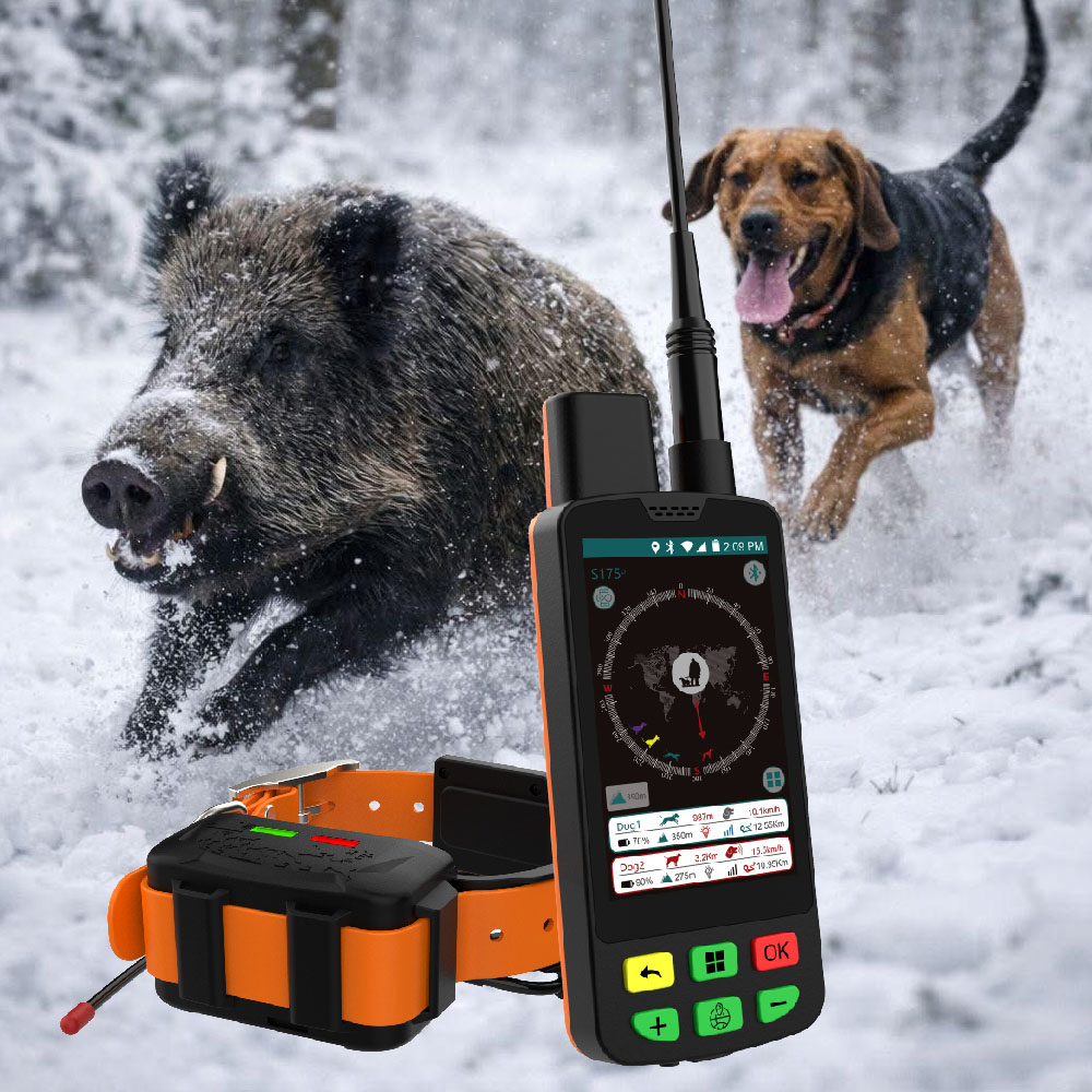 Winter hunting